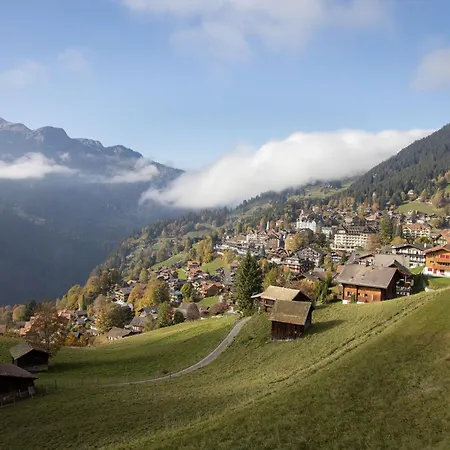 Bristol Apt-18 By Interhome Wengen