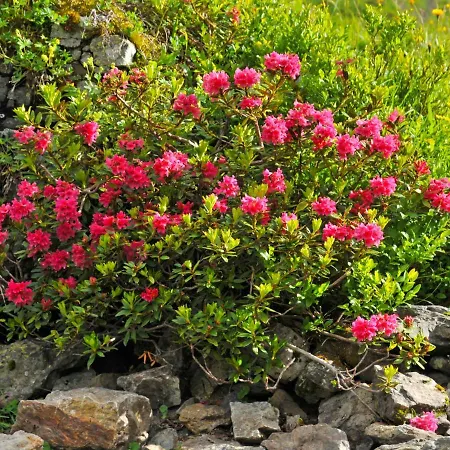 Bristol Apt-18 By Interhome Apartment *