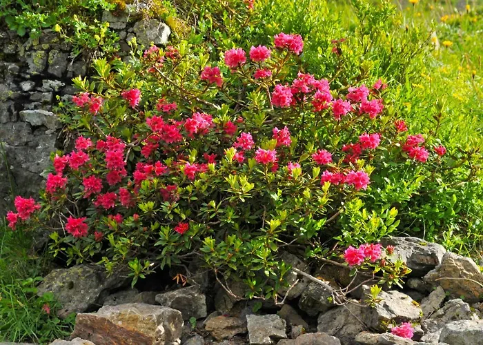 Bristol Apt-18 By Interhome 公寓 *